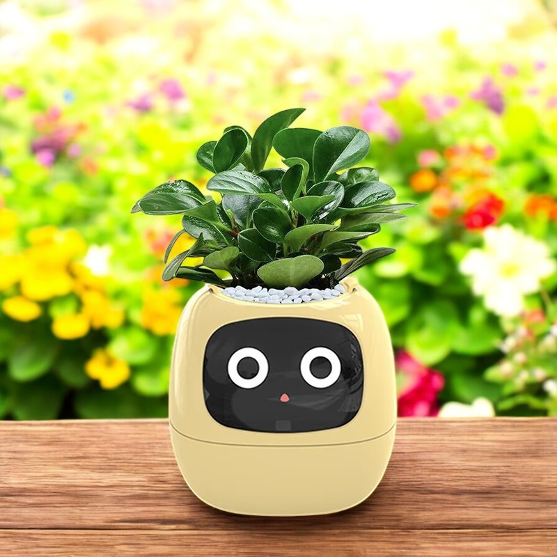 Sproutly AI®