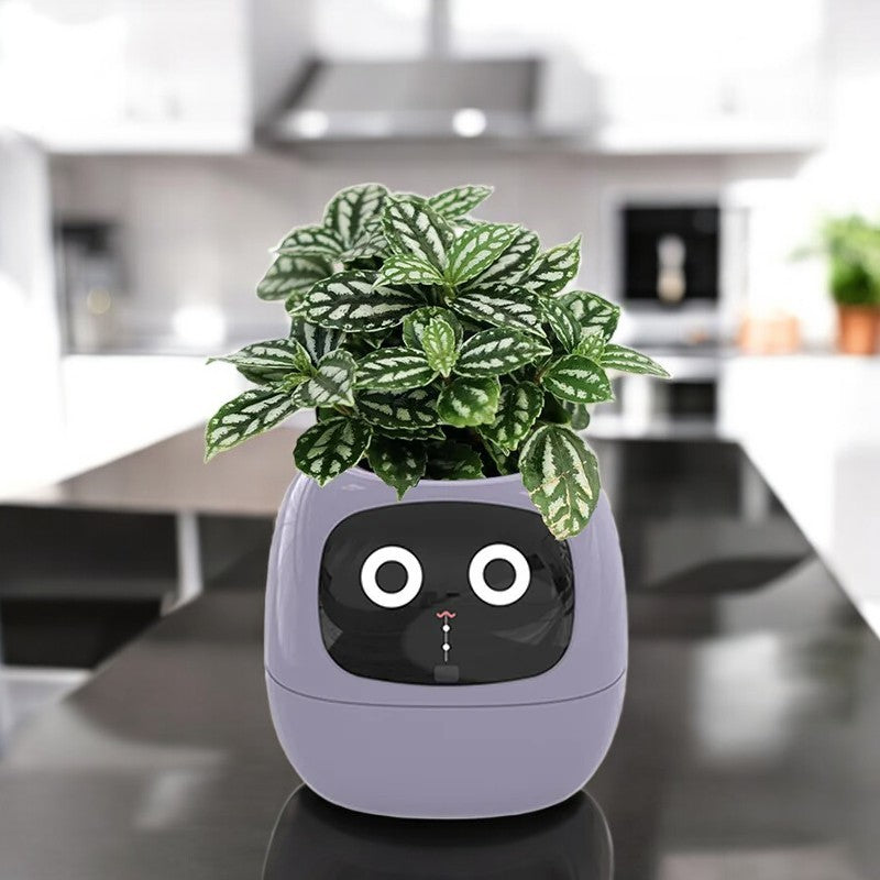 Sproutly AI®