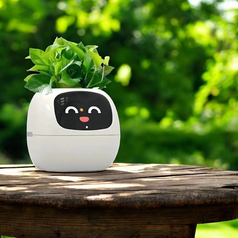 Sproutly AI®