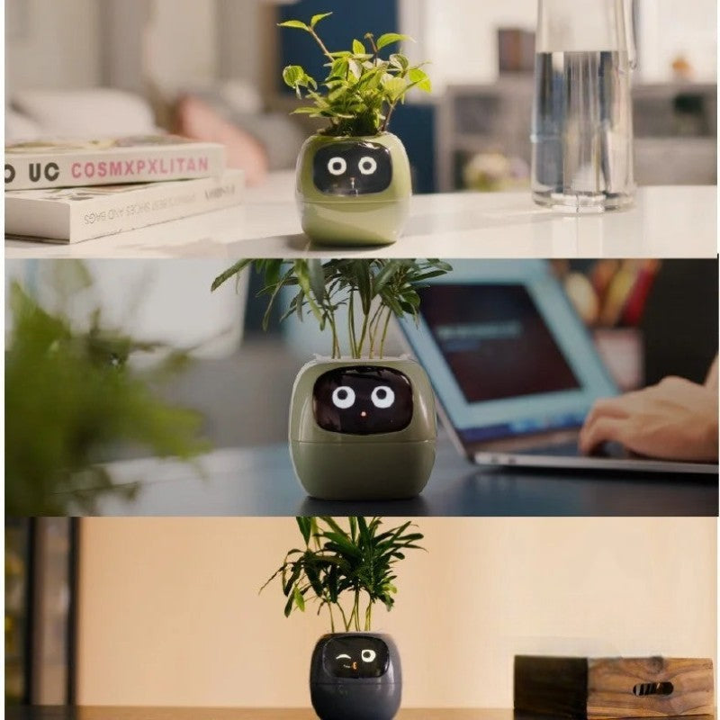 Sproutly AI®