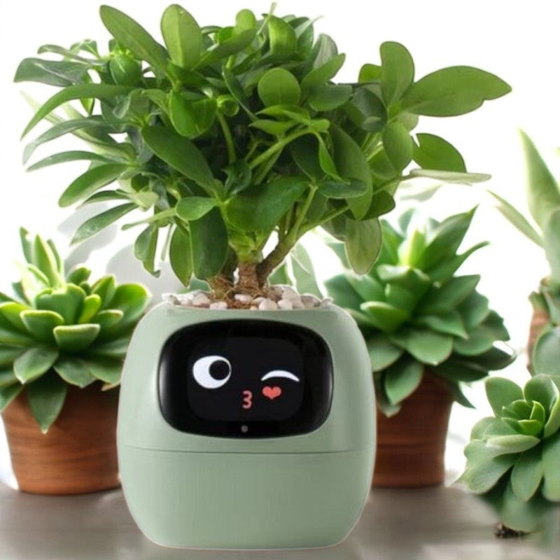 Sproutly AI®