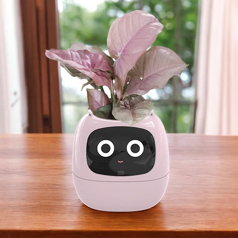 Sproutly AI®